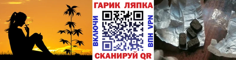 ГАШ Изолятор  Купить где  Лесной 