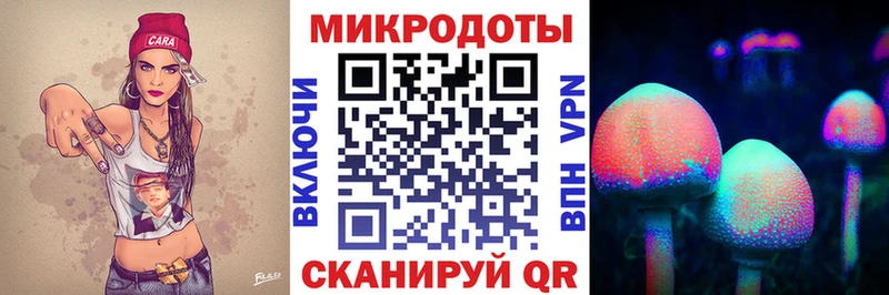 Купить где Лесной Псилоцибиновые грибы мухоморы